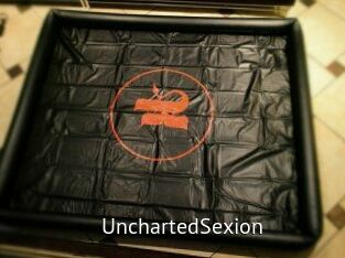 UnchartedSexion