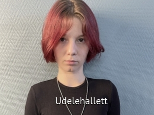 Udelehallett