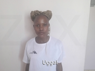 uggal Zizi X
