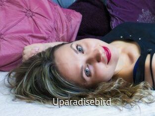 Uparadisebird