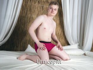 Urnicepitt