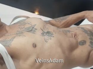 VeinsAdam
