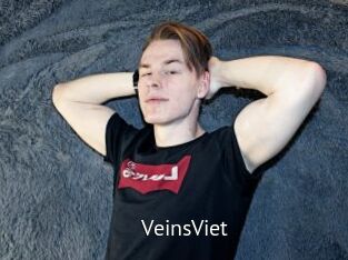 VeinsViet