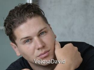 VelosaDavid