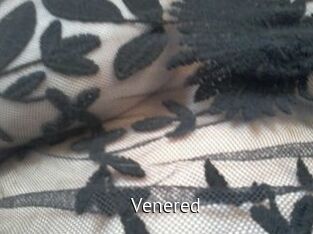 Venered Zizi X