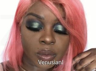 VenusianJ