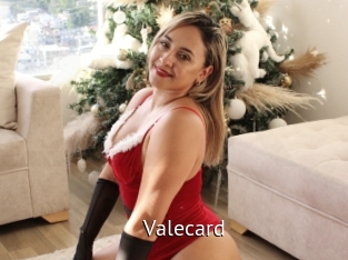 valecard Zizi X
