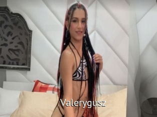 Valerygusz
