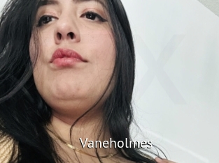 Vaneholmes