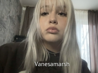 Vanesamarsh