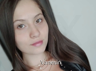 vanesin Zizi X