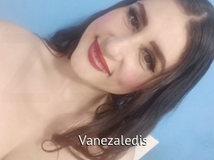 vanezaledis Zizi X