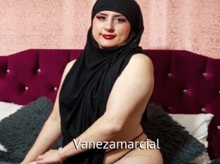 Vanezamarcial