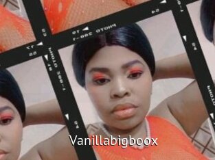 vanillabigboox Zizi X