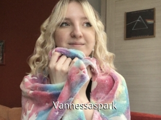 Vannessaspark