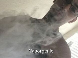 Vapor_genie