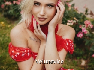 Velunavice