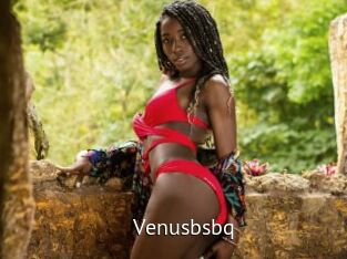 Venusbsbq