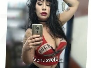 Venusvelvet