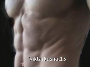 Viktarkushal13