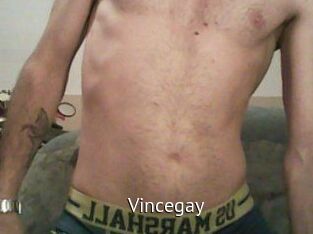 Vincegay