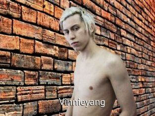 Vinnieyang