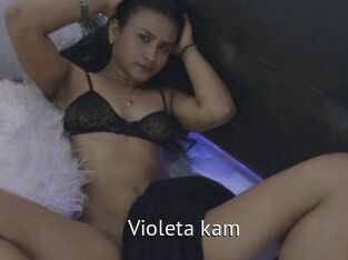 Violeta_kam