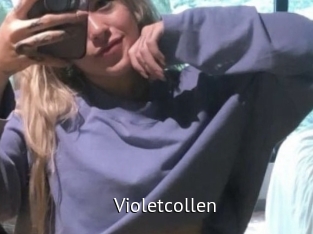 Violetcollen