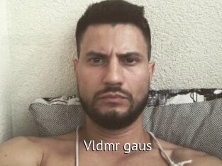 vldmr_gaus Zizi X