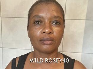 WILD_ROSEY40 Zizi X