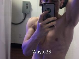 Waylo23