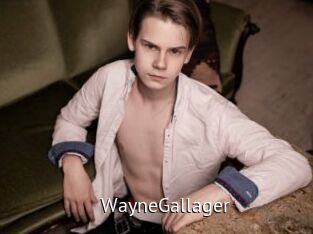 WayneGallager