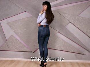 WhatIsGentle