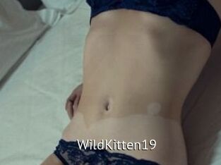 Wild_Kitten19