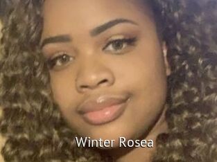 Winter_Rosea