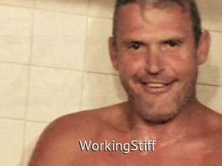 WorkingStiff Zizi X