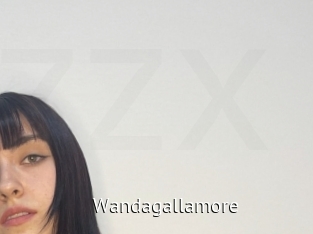 Wandagallamore