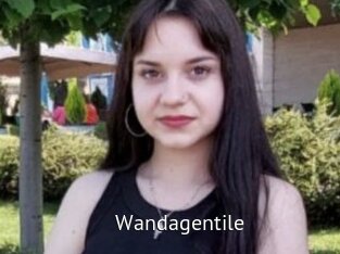 wandagentile Zizi X