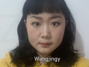 Wangjingy