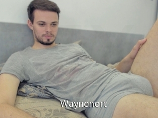 Waynenort
