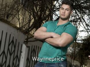 Waynneprice