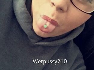 Wetpussy210