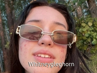 whitneygleghorn Zizi X