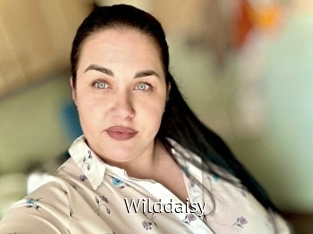 Wilddaisy