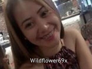 Wildflower69x