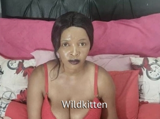 wildkitten Zizi X