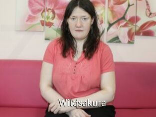Wildsakura