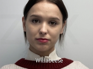 willabeese Zizi X