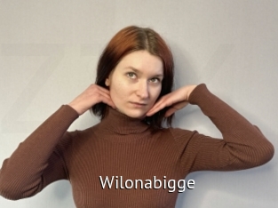 Wilonabigge