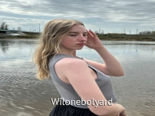 Wilonebolyard